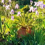 Podere Le Palaie Апартаменты Monterotondo (Tuscany)
