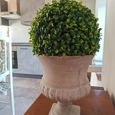 Podere Le Palaie *