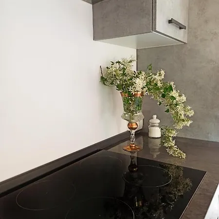 Podere Le Palaie Apartment