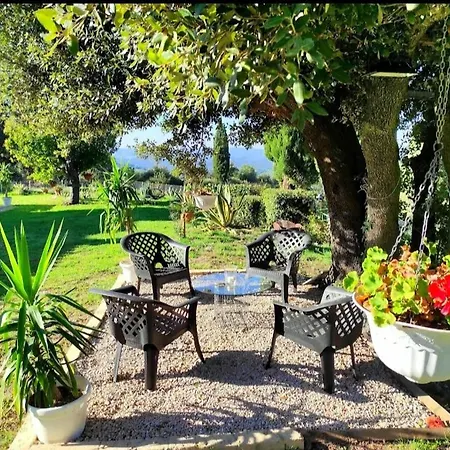 Podere Le Palaie *